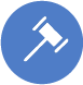 expert testimony icon