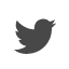 twitter icon
